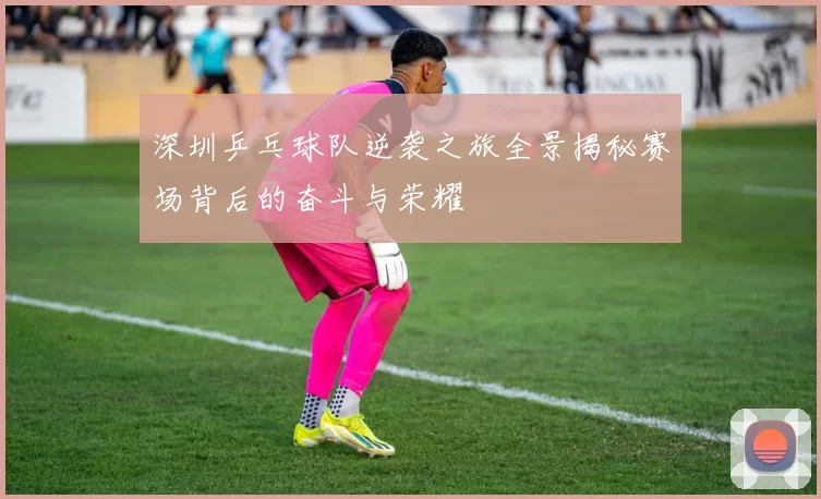 深圳乒乓球队逆袭之旅全景揭秘赛场背后的奋斗与荣耀