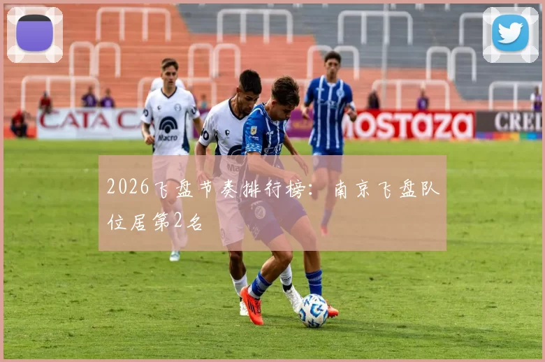 2026飞盘节奏排行榜：南京飞盘队位居第2名