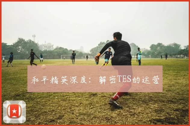 和平精英深度：解密TES的运营