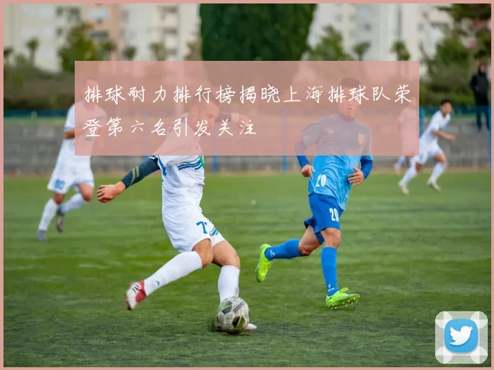 排球耐力排行榜揭晓上海排球队荣登第六名引发关注