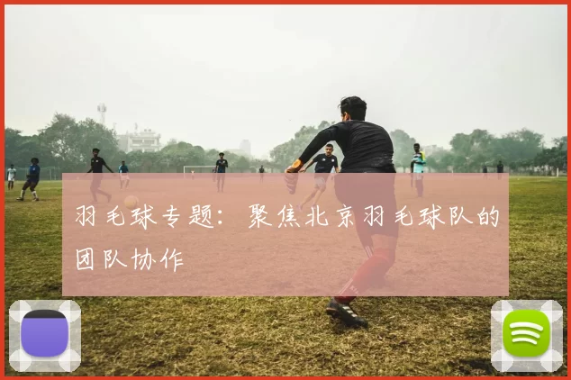 羽毛球专题：聚焦北京羽毛球队的团队协作
