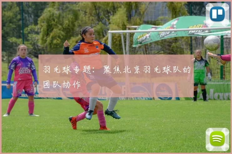 羽毛球专题：聚焦北京羽毛球队的团队协作