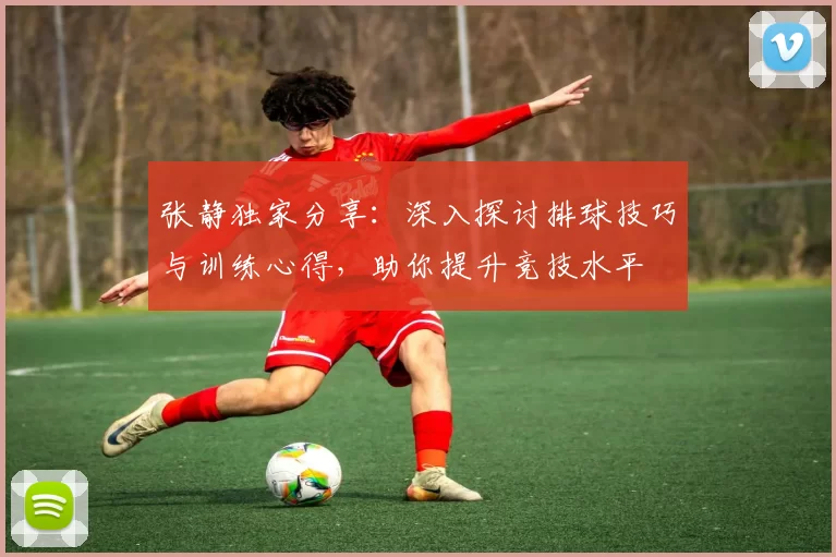 张静独家分享：深入探讨排球技巧与训练心得，助你提升竞技水平