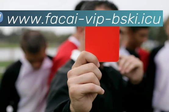 MK体育APP 封面图